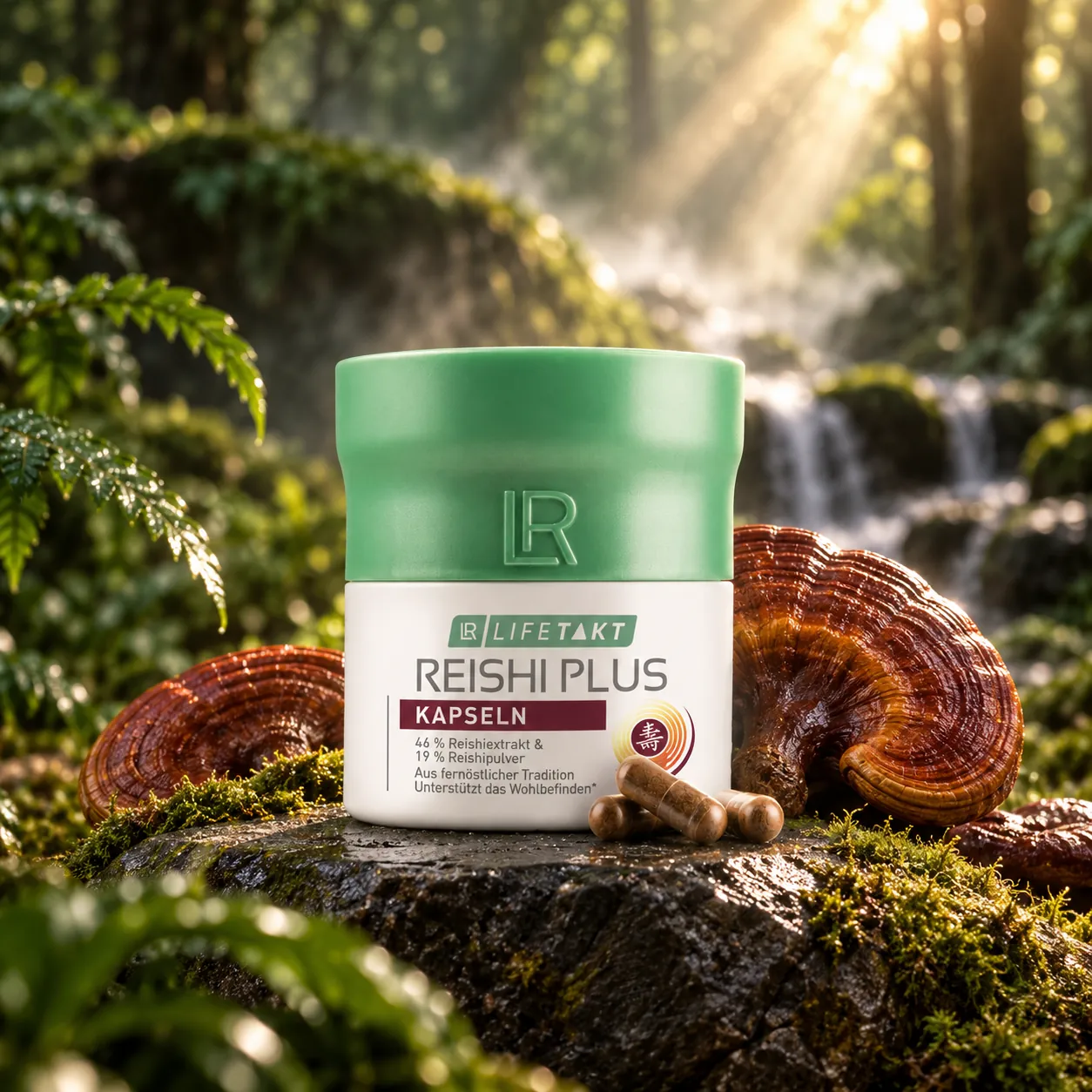 LR Reishi Plus v ilustrační scéně s houbou reishi